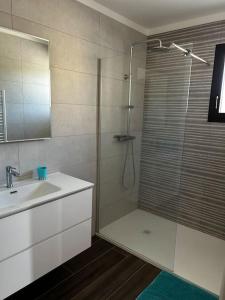 a bathroom with a shower and a sink and a shower at Maison les pieds dans l’eau in Ghisonaccia