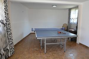una mesa de ping pong en una habitación con una pelota de ping pong en Casa Viorica și Luis, en Câmpulung Moldovenesc