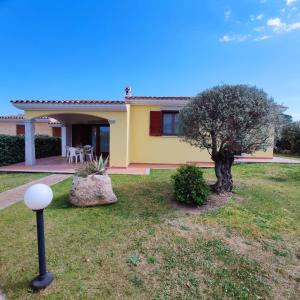 una casa amarilla con un árbol en el patio en VILLA A 200 METRI DALLA SPIAGGIA, en Budoni 62 fotos más