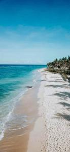 einen Sandstrand mit Meer und Palmen in der Unterkunft Bamboo Surf Beach in San Isidro