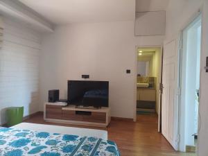 TV a/nebo společenská místnost v ubytování Terrace abode