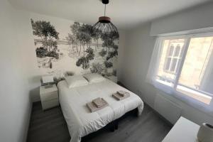 a bedroom with a white bed and a window at Apartment hyper-center Biarritz with parking in Biarritz
