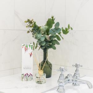 un lavabo con un jarrón con una planta en An Sugan Guesthouse, en Clonakilty