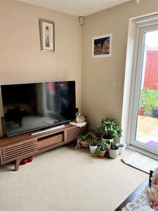 a living room with a large television and potted plants at House with Breath of Fresh Air in Bloxwich