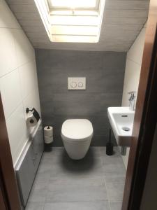 a bathroom with a toilet and a sink at Super XXL Ferienwohnung 73 qm, mit Balkon in Cadolzburg