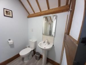 łazienka z toaletą i umywalką w obiekcie The Dolfor Inn w mieście Newtown