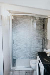 een badkamer met een douche en een toilet. bij La Mansarda del Sole in Ortona