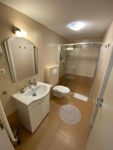 バイア・スプリエにあるPintea Chaletのバスルーム(トイレ、洗面台、シャワー付)