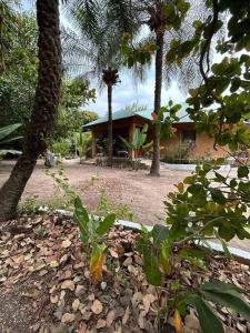 uma casa no meio de um quintal com palmeiras em Complete House in the jungle, near the sea. em Kafountine