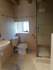 a bathroom with a toilet and a sink and a shower at Frairie Du Divit in Pontivy