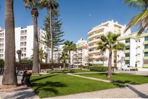 a park with palm trees in front of buildings at Sea Star Apartments - Casa Verde e Casa Azul in Armação de Pêra