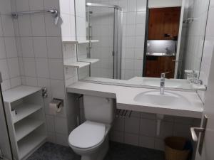 ディゼンティスにあるApartment Utoring Acletta-78 by Interhomeのバスルーム(トイレ、洗面台、鏡付)