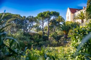 Vonkajšia záhrada v ubytovaní Suite Tropez, Résidence de prestige