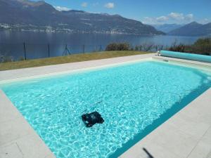 a rock in the water in a swimming pool at Holiday Home Antonia by Interhome in Porto Valtravaglia