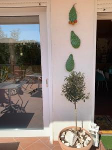 une plante dans un pot devant une porte dans l'établissement Hotel Le Palme " Adults only ", à Grado