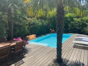 a palm tree sitting next to a swimming pool at VILLA Arcachon 12 pers AVEC PISCINE chauffée et Rafraichisseur in Arcachon