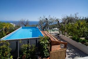 a swimming pool in a garden with the ocean in the background at Casa Il Negrito in Massa Lubrense