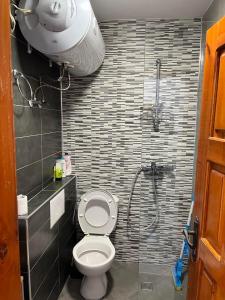 uma casa de banho com um chuveiro e um WC num quarto em Апартамент за гости Сънрайз с гледка към река Дунав em Ruse