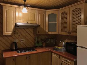 eine Küche mit Holzschränken, einer Spüle und einem Kühlschrank in der Unterkunft Біля Погару in Slawske