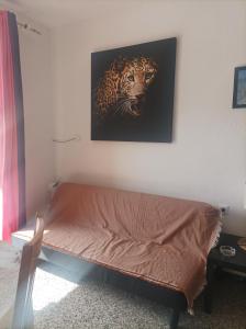 Fotografie z fotogalerie ubytování Apartamento Rebeca v destinaci Peñíscola