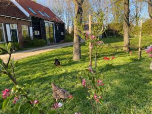 Zahrada ubytování B&B Boerderij De Vaete - Duurzaam genieten in de zak van Zuid-Beveland