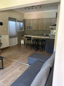 Alexandros في بيغروس: غرفة معيشة مع أريكة ومطبخ