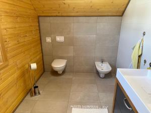 een badkamer met een toilet en een wastafel bij Chalet Hochrindl 2 B in Hochrindl