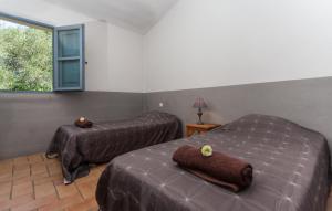 Posteľ alebo postele v izbe v ubytovaní Casa di l'olivu