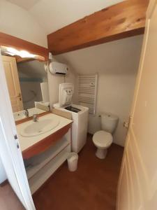 代沃呂伊的住宿－Chalet 6-8 couchages à la Joue du Loup，一间带水槽和卫生间的小浴室