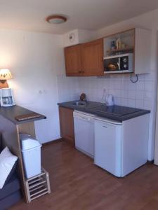 mała kuchnia ze zlewem i blatem w obiekcie Chalet 6-8 couchages à la Joue du Loup w mieście Dévoluy