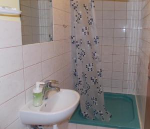a bathroom with a sink and a shower curtain at Salaš Mlýn in Velehrad