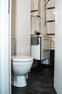 a bathroom with a toilet and a sink at Vilnius Centrum Apartment in Vilnius