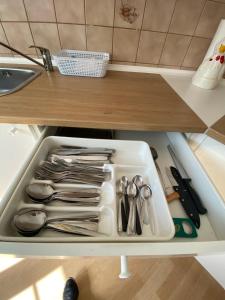 a tray of utensils in a drawer in a kitchen at Geräumiges Stadtapartment in Lichtenstein-Callnberg