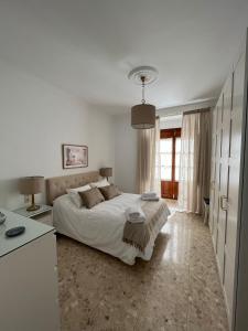 Posteľ alebo postele v izbe v ubytovaní Apartamento Camberos Antequera