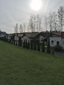 a row of houses with trees in a field at Gospodarstwo Agroturystyczne Zacisze in Ruś