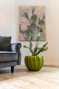 a green cactus plant in a living room next to a couch at Zentrale Designoase in Hamburg