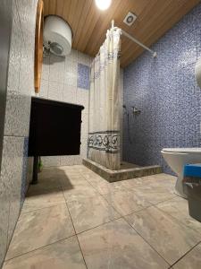 een badkamer met een douche, een wastafel en een toilet bij Guest House Pītagi in Košrags
