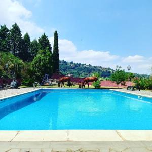 Bazén v ubytování Villa Alessio - Case Vacanza con Piscina sull'Etna nebo v jeho okolí