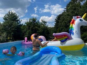 - un groupe d'enfants jouant dans une piscine dans l'établissement Comfortable holiday home in the countryside, Be czna, 