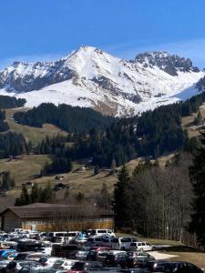 a parking lot with a snow covered mountain in the background at Apartment Wildbach by Interhome in Adelboden