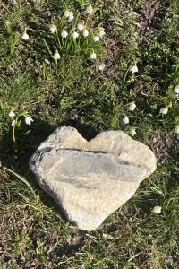 a rock sitting in the grass with flowers at Apartment Wildbach by Interhome in Adelboden