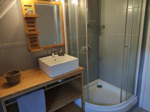 a bathroom with a sink and a shower at La Perle Caribéenne in Le Lamentin