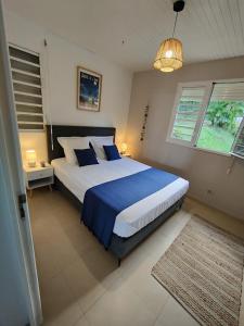 ein Schlafzimmer mit einem großen Bett mit blauer Bettwäsche und Kissen in der Unterkunft La Perle Caribéenne in Le Lamentin