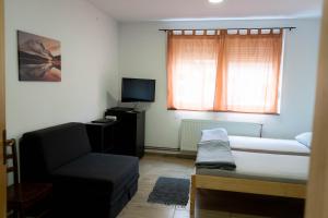 Televízia a/alebo spoločenská miestnosť v ubytovaní Apartment Eurho