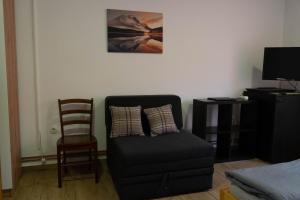 Televízia a/alebo spoločenská miestnosť v ubytovaní Apartment Eurho
