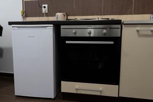 Kuchyňa alebo kuchynka v ubytovaní Apartment Eurho