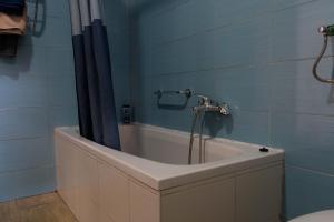 a bathroom with a bath tub with a shower at Apartment Eurho in Osijek +52 photos