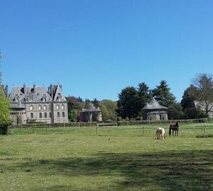Fotografia z galérie ubytovania Villa Excallibur, aux portes de Brocéliande v destinácii Carentoir