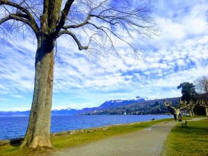 un árbol y un camino junto a un cuerpo de agua en Bellerive, pieds dans l'eau lac & montagnes, en Publier 2 fotos más
