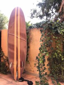 una tabla de surf se apoya en una pared en Cómodo, independiente y coqueto apartamento, en Santander